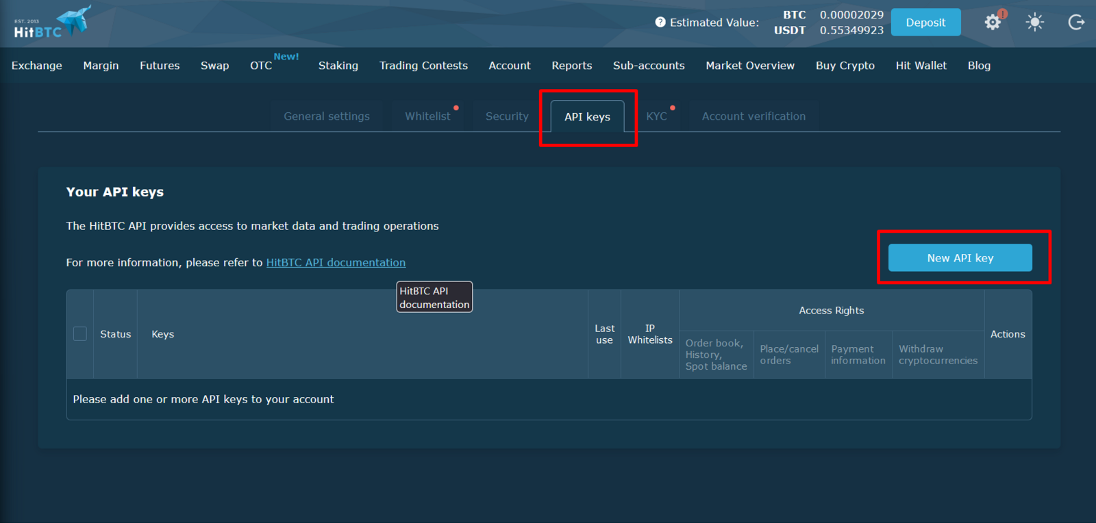 New API Key button