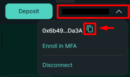 Copying the User Public Key from the Hyperliquid account menu